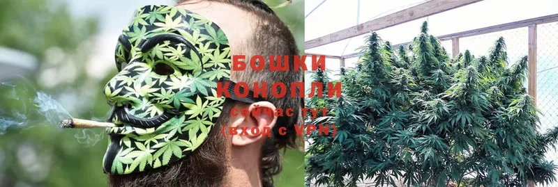 что такое наркотик  Ардон  площадка как зайти  Конопля LSD WEED 